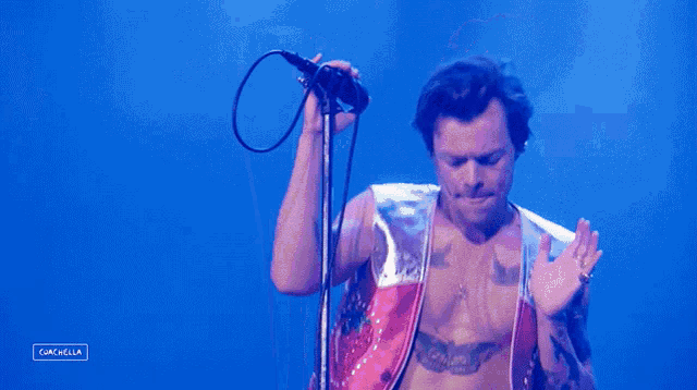 Harry Styles Animado